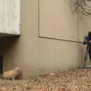 나와고양이 이미지