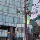 핑크 스파이더 | [첫 배구 직관 후기] 장충체육관을 뒤흔든 봄배구 열기🔥 (GS칼텍스 vs 흥국생명 준플레이오프) 직관 F2...