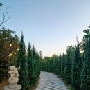 5월26일 일욜 양평 세컨하우스 삼겹살 바베큐, 대하구이, 샐러드 와인한잔&amp; 칸트의마을 카페 재미난 하루보내요 이미지