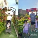 고성군청신관(2층) | 속초 대형카페 오션뷰 바다정원 재방문 후기