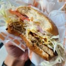 보성녹돈 이미지