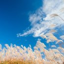 김정열한의원 이미지