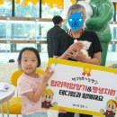 대구고양이분양테디럽