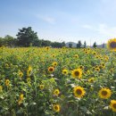 대부도해양본부 이미지