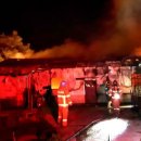 금호 양계장 이미지