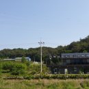 남원흑염소농장 2농장 이미지