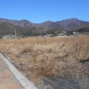 상업용 46 이미지