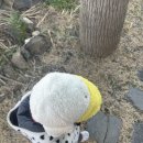 한덕목장 | 21개월 아기랑 연말 제주여행 2탄..🎈