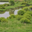 고속도로영산휴게소 이미지