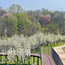 고덕초등학교 건너편 이미지