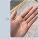 예현농장 이미지