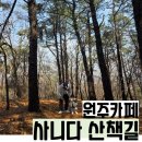 바람의언덕길 | 카페 사니다 산책길 아기랑 원주 둘레길 소풍길 10코스 바람의 언덕길 주차 메뉴 추천