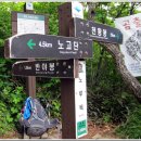 명월공원(갈산2동주민센터 옆) | 지리산 성삼재~노고단~반야봉~토끼봉~벽소령 백두대간 산행...