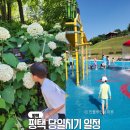 미류네 농장 이미지