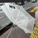 예루목장 | 관동번쩍 관서번쩍 일본여행 中