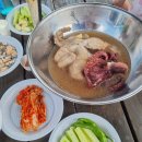 돌고래펜션야영장 이미지