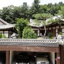 계곡친구