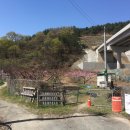 해안동 주민센터 앞 이미지