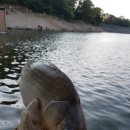 주봉낚시터 이미지