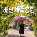배산체육공원 축구장 | 익산 장미 명소 익산 가볼만한곳 배산체육공원