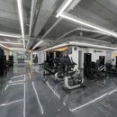 윌 휘트니스 이미지