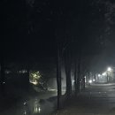 피자스쿨(약대점) 이미지