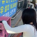 원컴퓨터크리닝 이미지