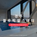 블루픽셀 스테이 이미지