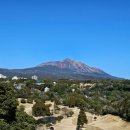 대신스카이빌(나이스골프) | 기리시마 국립공원을 품은 골프장, 다카치호CC 라운딩, 점심 식사 후기