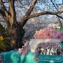 낙동제방 자전거도로 이미지