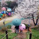 무양공원 유아숲체험원 이미지