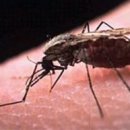 농선농장 이미지