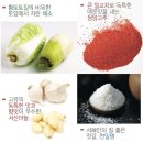 선도농협김치가공공장