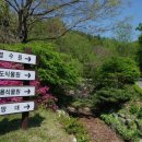 경상북도수목원 네이버블로그