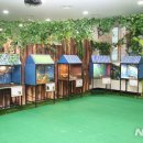 하이원추추파크 뉴시스