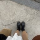 230 | 내돈내산 (로제도)신은 닥터마틴 1461 벡스 230 솔직후기+착샷