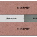 코니이엔씨