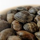 지방간의 진단과 관리 이미지