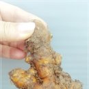 오지랖연구회