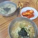 퍼피랜드 이미지