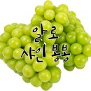 봉봉전자담배