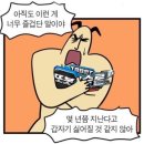 디룩 이미지