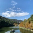용소사계절 | 부산 기장 용소웰빙공원, 단풍명소 가을 여행(주차, 포토존)