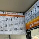 (버스)평택터미널 이미지