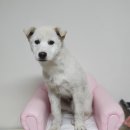 사림동225 이미지