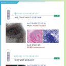 영등포 우신종합 동물병원 이미지