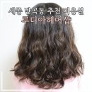 루디아 헤어샵 - 세종특별자치시 | 루디아 헤어샵