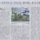 적십자간호대학 이미지