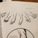 모던골프 이미지