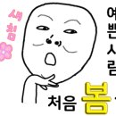 헤어팰리스모현점